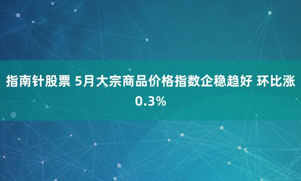 指南针股票 5月大宗商品价格指数企稳趋好 环比涨0.3%