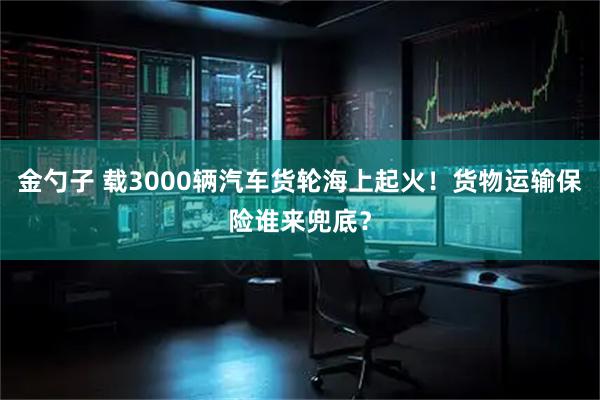 金勺子 载3000辆汽车货轮海上起火！货物运输保险谁来兜底？
