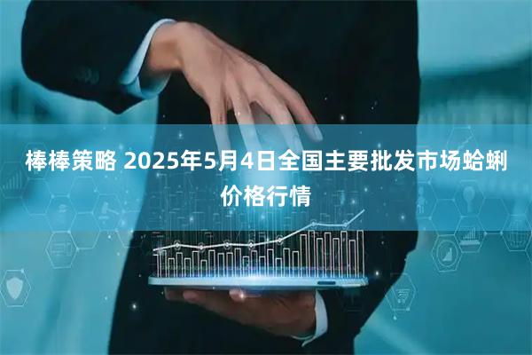 棒棒策略 2025年5月4日全国主要批发市场蛤蜊价格行情