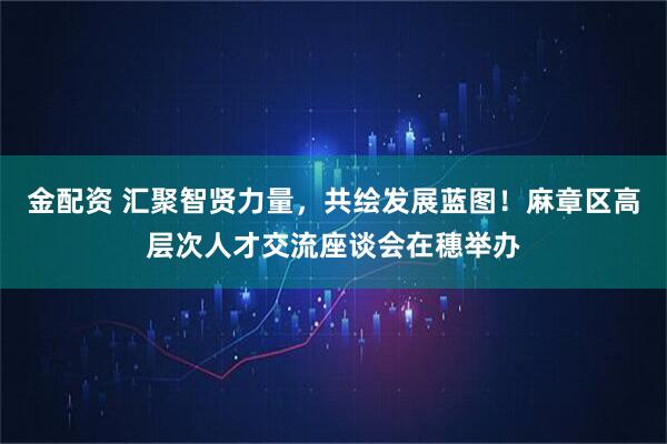 金配资 汇聚智贤力量，共绘发展蓝图！麻章区高层次人才交流座谈会在穗举办