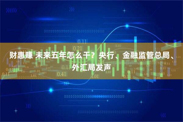 财惠赚 未来五年怎么干？央行、金融监管总局、外汇局发声